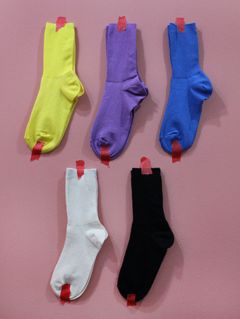 vivid golgi socks - 5color